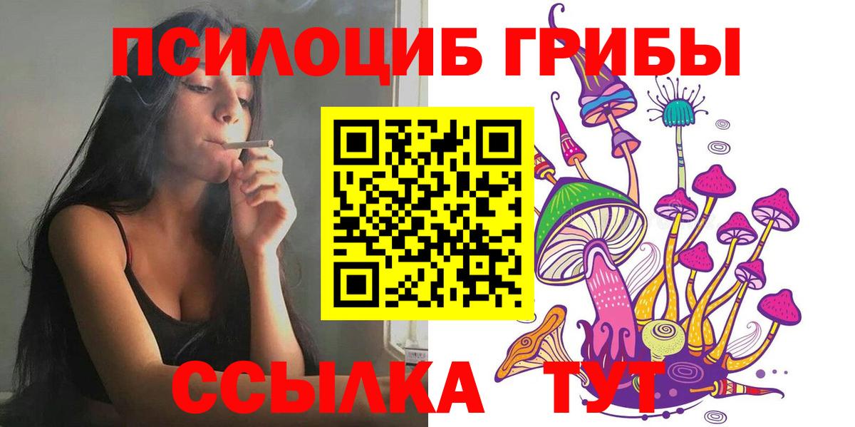 Псилоцибиновые грибы прущие грибы  Вход с VPN  Можайск  Псилоцибиновые грибы Cubensis 